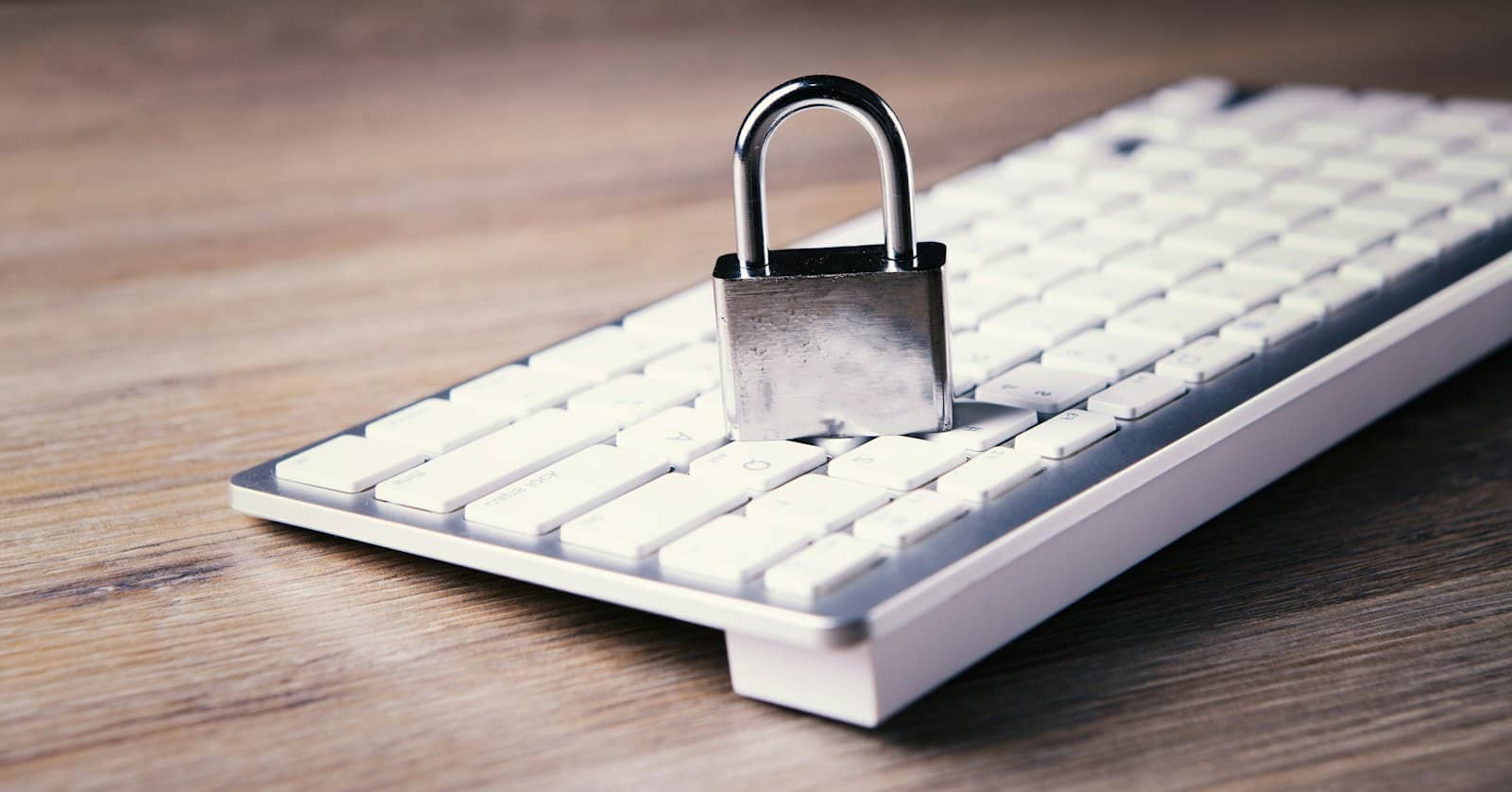 Website security protects your rankings, your customers' data and your revenue, not just your server